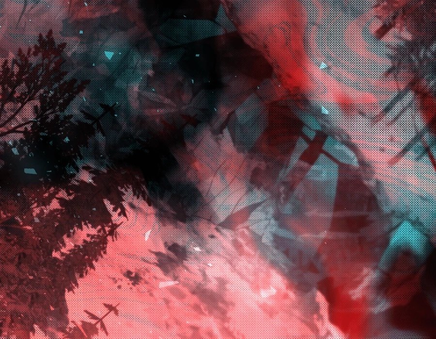 第183页