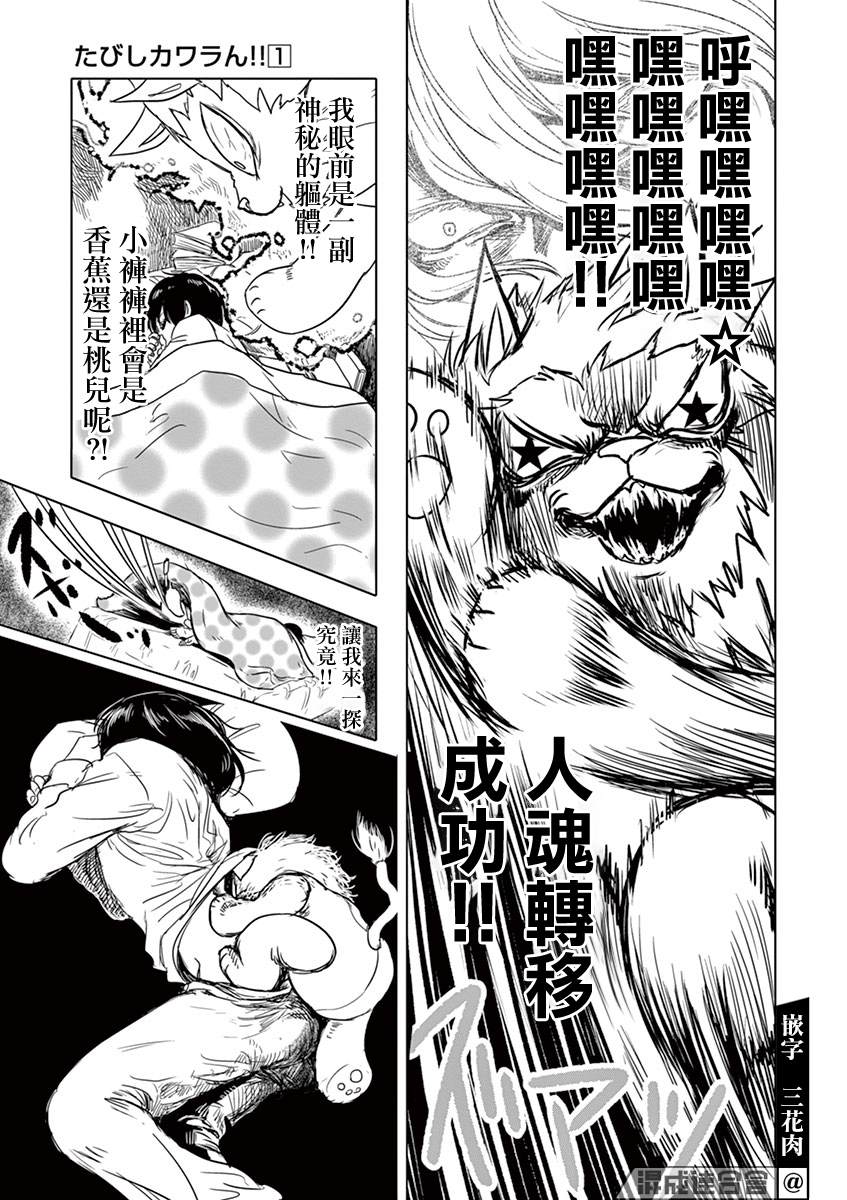 第19页
