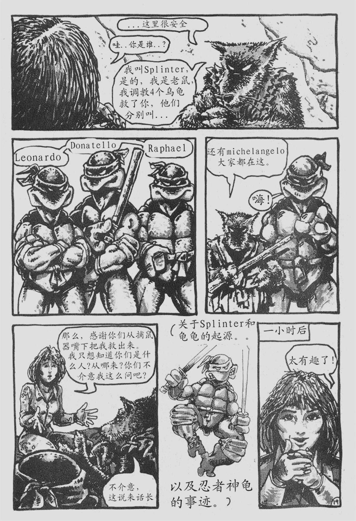 第19页