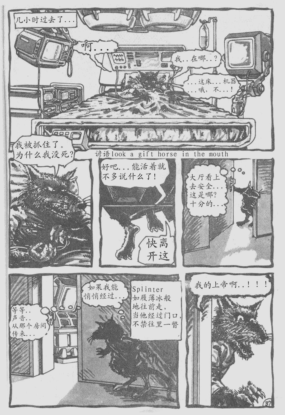 第38页