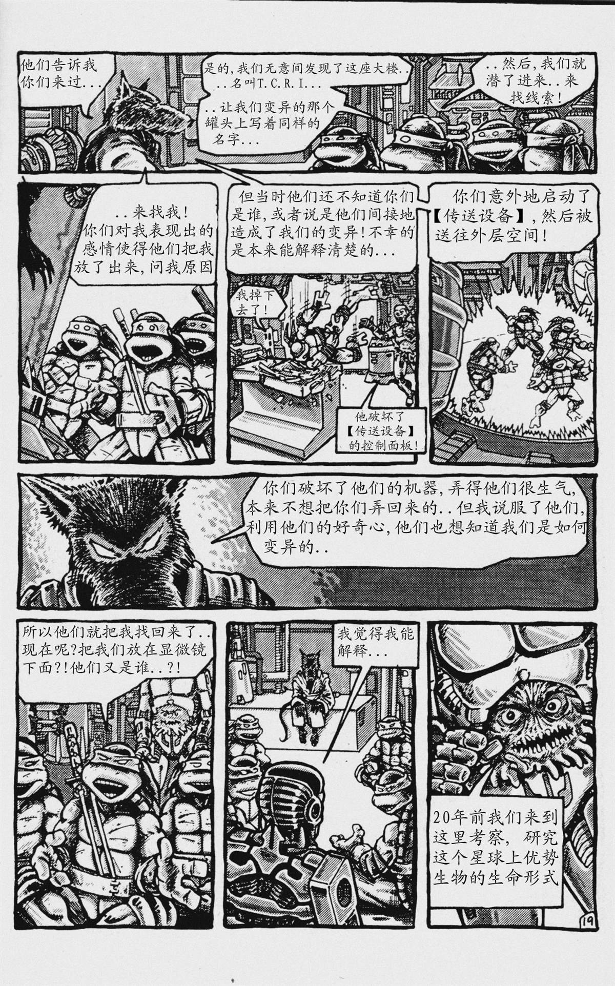 第19页