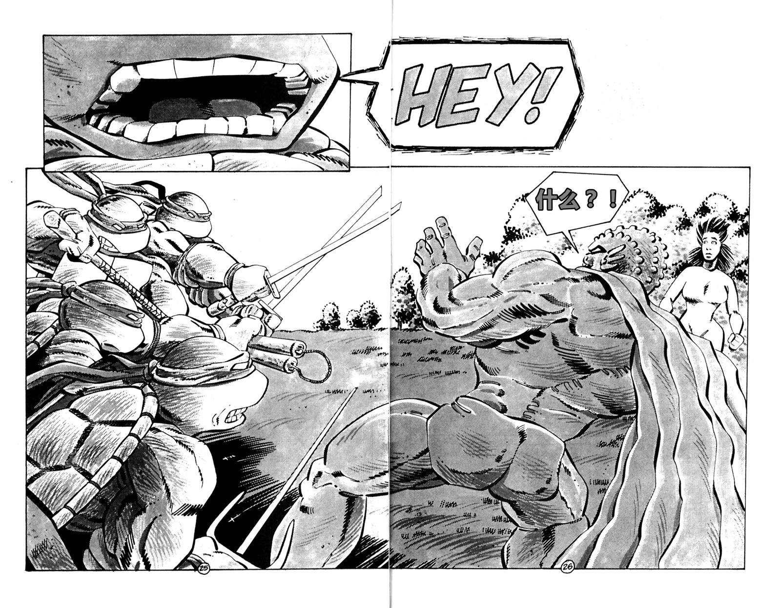 第26页