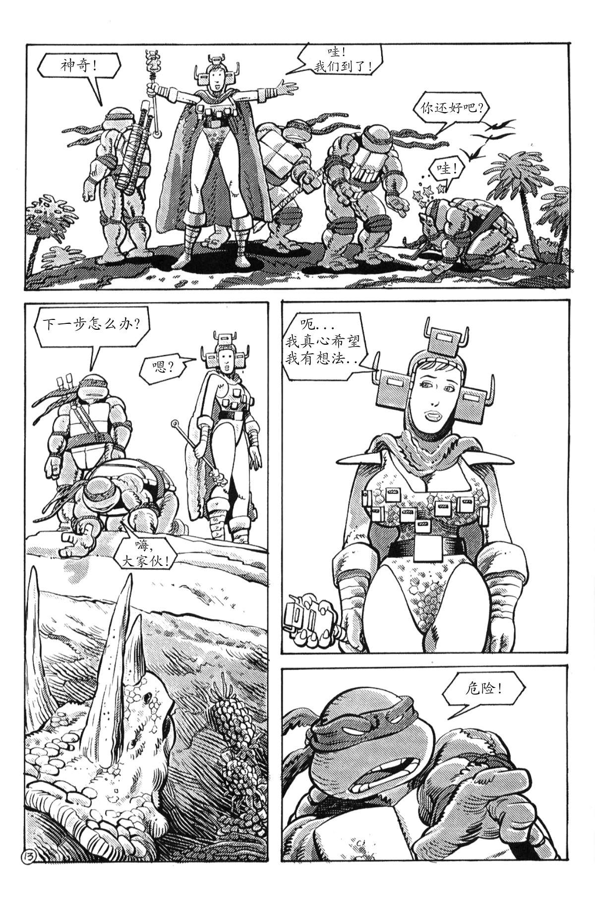 第13页