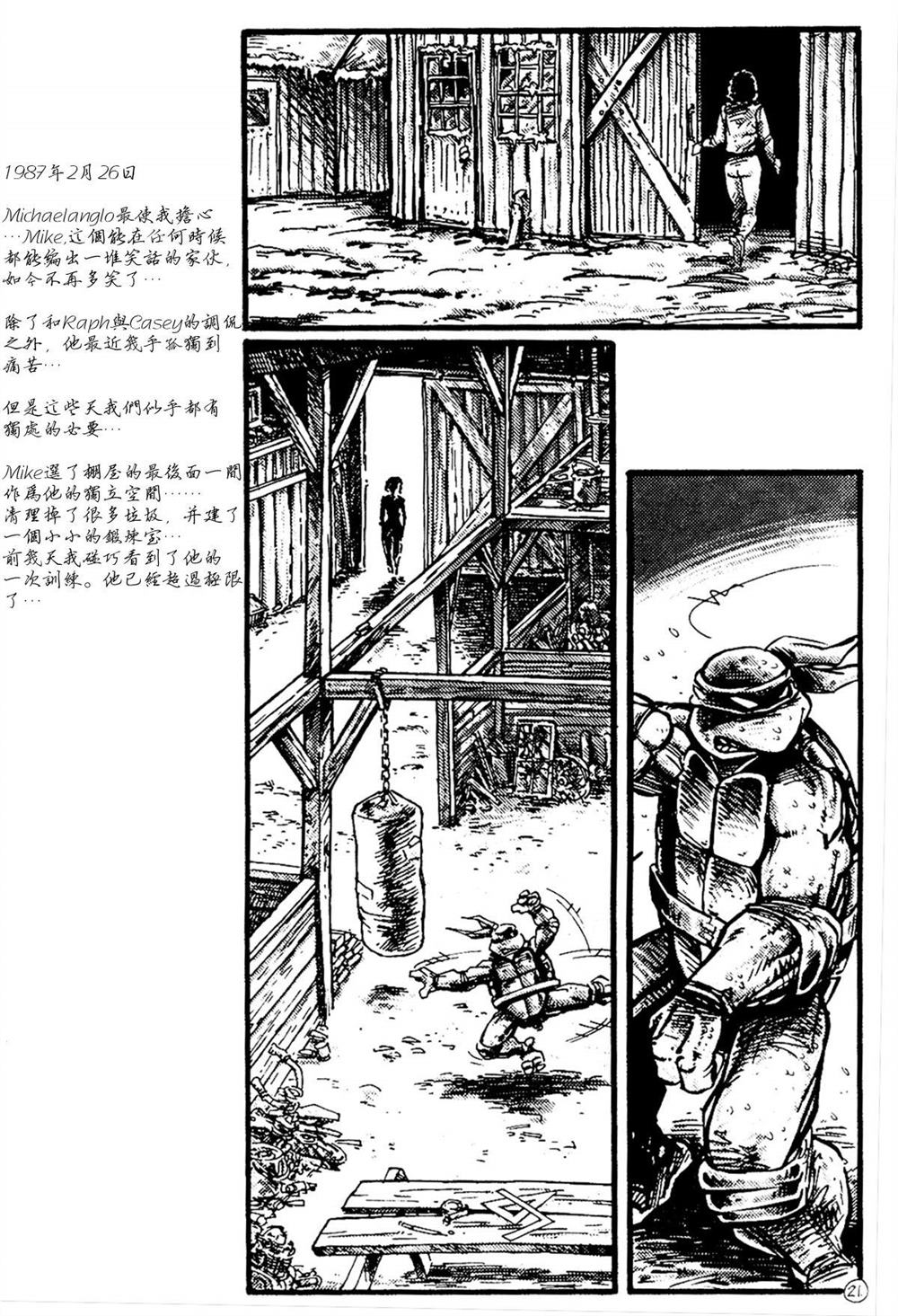 第21页
