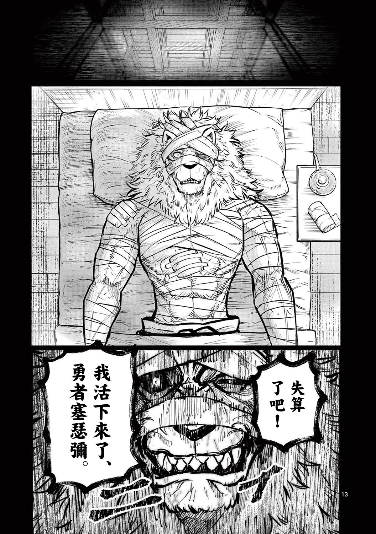 第13页