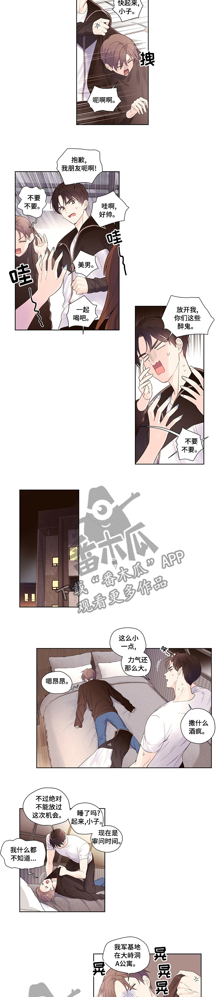 第3页